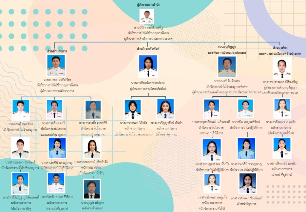 Organization-Charts